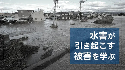 水害の被害について学ぶ